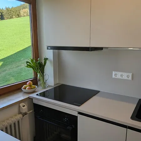 Appartement Bergzauber Im Oberallgaeu- Pool- Sauna- Bikepark- Skilift- Loipe- Wanderwege- Stilvoll Und Kinderfreundlich Missen-Wilhams